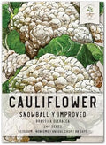 Seed Needs Snowball Y Improved Cauliflower Seeds to Plant Heirloom 1 Pack by SeedNeeds