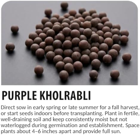 100 Purple Kohlrabi Seeds | Heirloom Vegetable Seeds for Planting - Image 6