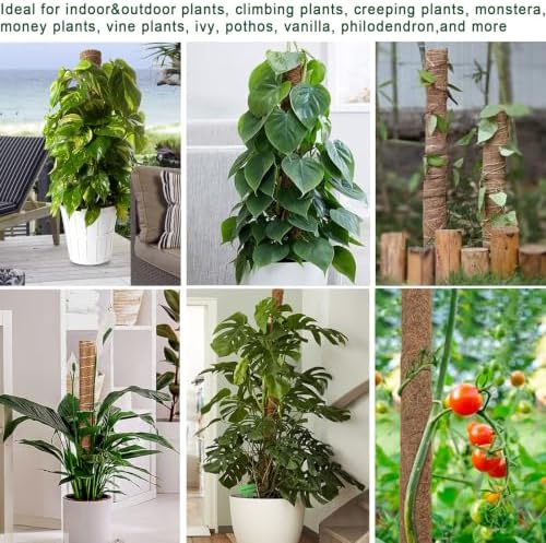 Fabulas Moss Pole Monstera Plant Support, Extended to 48 Inch, 4 Pack 16 in - Image 6