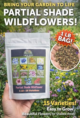 Partial Shade Wildflower Mix Seed (1LB) – Shade-Loving Wildflowers that Produce Vibrant Blooms in Low-Light Areas and Dappled Sun. Perfect for Yards, Garden beds, Fence Lines, and Woodland Edges. - Image 5