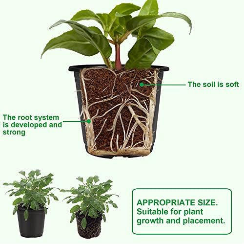 Augshy 40 Pcs 4" Black Plastic Plant Nursery Seed Starting Pots for Succulent Seedling Cutting Transplanting - Image 3