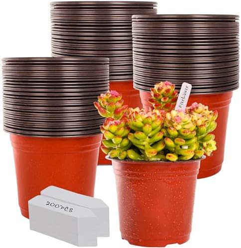 TDHDIKE 6" Plastic Plant Nursery Pots 200Pcs with 200 Labels by TDHDIKE
