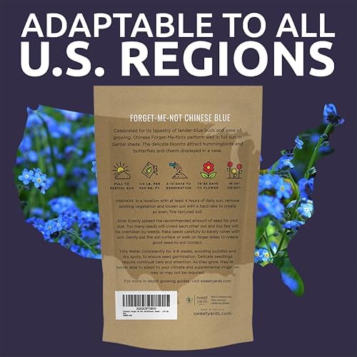 Chinese Forget Me Not Wildflower Seeds - Bulk 1/4 Pound Bag - Over 22,000 Open Pollinated Seeds - Blue Cynoglossum amabile - Image 7