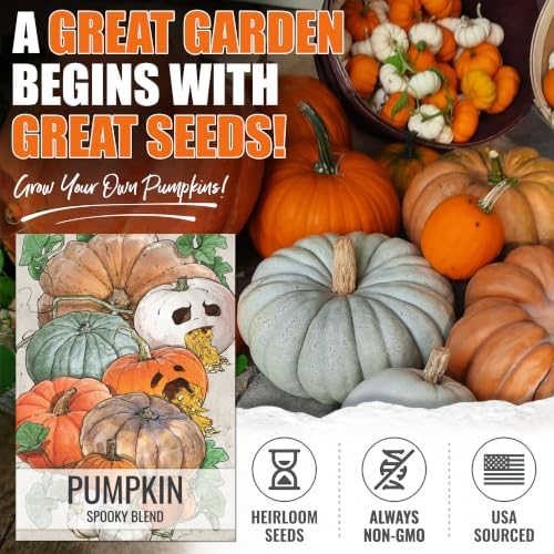 Seed Needs Spooky Blend Pumpkin Seeds to Plant Vegetables - 10 Packs - Image 2
