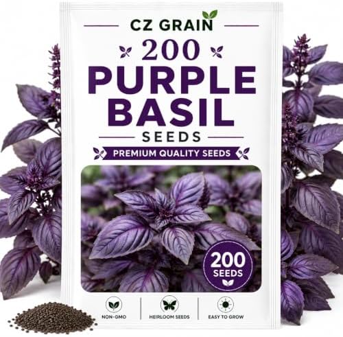 200 Purple Basil Seeds for Planting – Edible Culinary Herb Garden by CZGrain