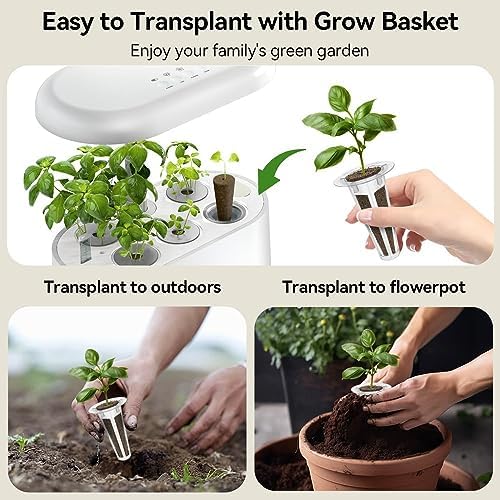 inbloom Hydroponics Herb Seed Pod Kit for AeroGarden, iDoo, Ahopegarden, GARDENCUBE, 7 Pods (350+ Herb Seeds with Basil, Parsley, Mint, Cilantro, Savory, Thyme and Oregano) - Image 4