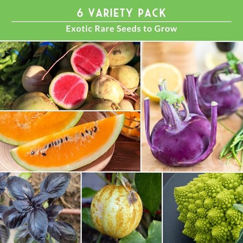 Rare Exotic Vegetable & Fruit Seeds for Planting – 6 Variety Heirloom Pack - Image 5