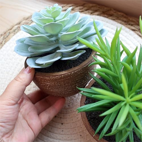 Artificial Succulents Plastic Artificial Green Plant for Office, Fake Succulents for Home Decoration (Set of 2 Succlents in Pots) - Image 2