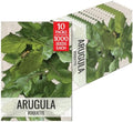 Seed Needs Arugula Seeds to Plant an Herb Garden - 10 Packs by SeedNeeds