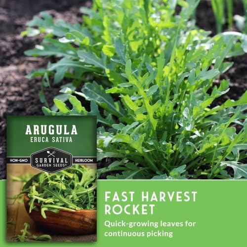 Arugula Seeds for Planting - Survival Garden Seeds (5 Pack) - Image 4