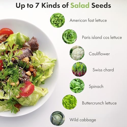 LYKOCLEAN Lettuce & Salad Greens Seed Pods Kit for AeroGarden, Ahopegarden - Includes American Fast Lettuce, Paris Island Cos & Buttercrunch, 7 pods, 350+ Seeds - Image 2