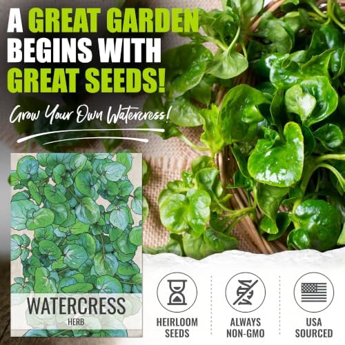 Seed Needs Watercress Seeds to Plant an Herb Garden - 5 Packs - Image 2