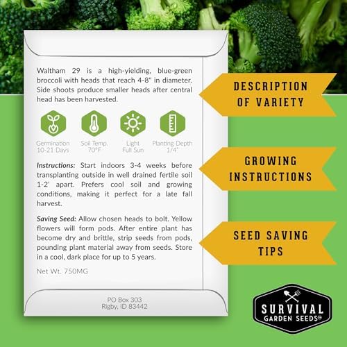 Waltham 29 Broccoli Seeds for Planting – Survival Garden Seeds (5 Packs) - Image 2