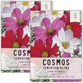 Seed Needs Sensation Cosmos Seeds to Plant Cut Flowers - 2 Packs by SeedNeeds
