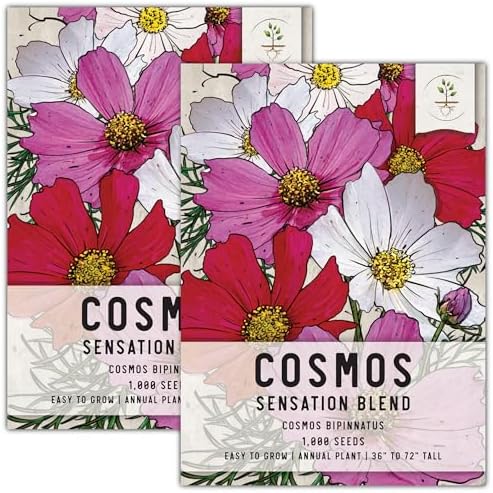Seed Needs Sensation Cosmos Seeds to Plant Cut Flowers - 2 Packs by SeedNeeds
