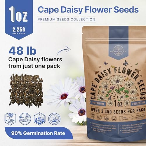 Cape Daisy Flower Seeds Pack 1 oz - Over 2,550 Non-GMO Heirloom Cape Daisy Seeds for Planting, Perennial Flowers in Individual Seed Packet, Seed for Planting Home Garden Indoor & Outdoor Gardening - Image 3
