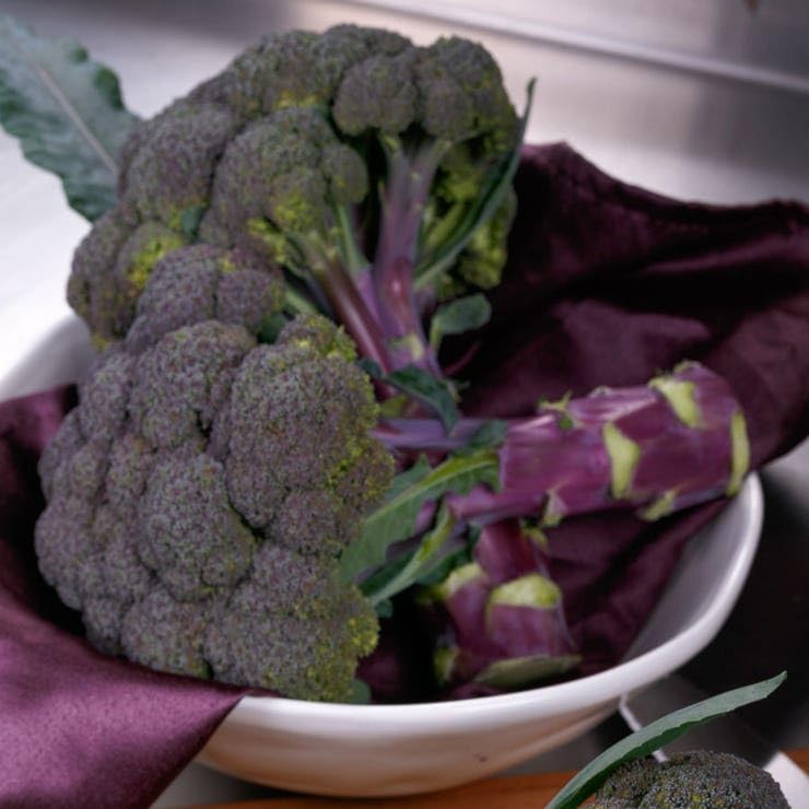 Park Seed Purple Magic Hybrid Broccoli Seeds - Pack of 50 Seeds - Image 3