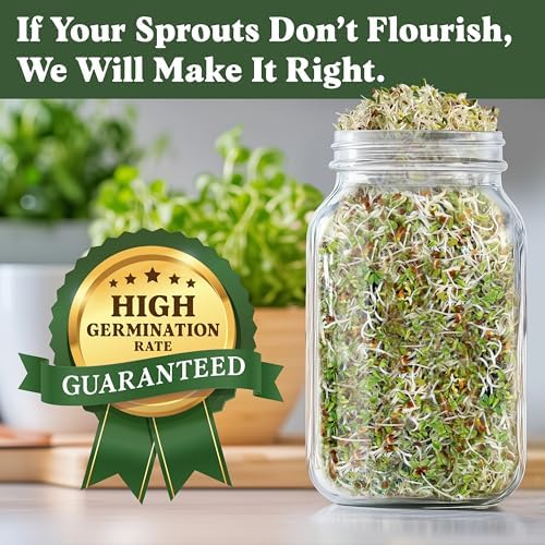 Seedboy Organic Non-GMO Sprouting Seeds (Alfalfa) - Image 3