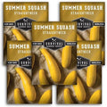 Yellow Straightneck Squash Seeds for Planting (5 Packs) by SurvivalGardenSeeds