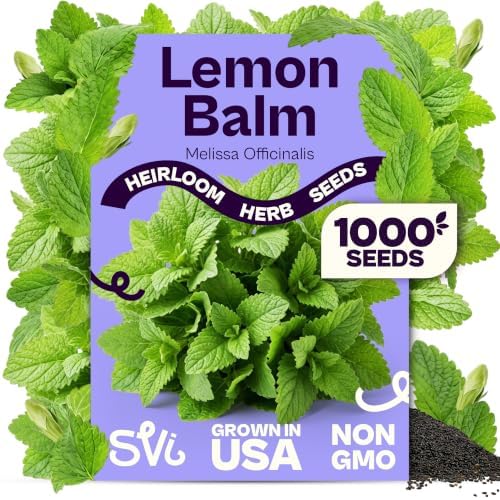 SVI 1000 Lemon Balm Non GMO Heirloom Herb Seeds, Melissa officinalis by SVI
