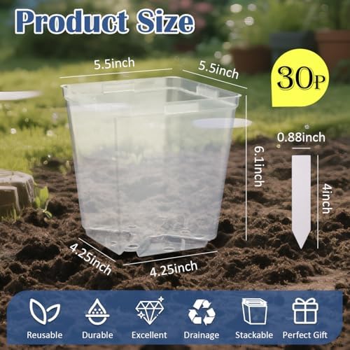 RooTrimmer 5.5 Inch Clear Square Nursery Pots with Drainage & Labels, 30Pcs Reusable Seed Starter Pots for Vegetables, Indoor Outdoor Gardening, Thick Transparent Plastic Plant Pots for Seed Starting - Image 3