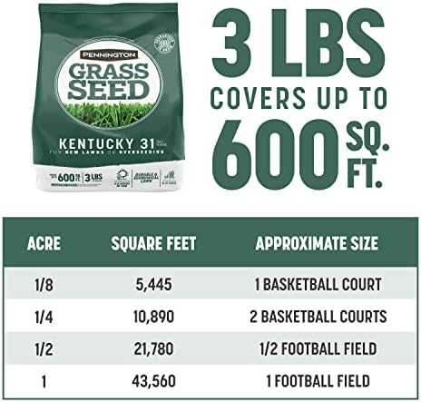 Pennington Kentucky 31 Tall Fescue Penkoted Grass Seed 3 lb, Green (Pack of 2) - Image 5