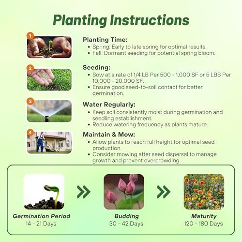 Outsidepride Southwest Wild Flower Seed Mix - 1/4 lb. Heat & Drought Tolerant Premium Blend of Annual & Perennial Wildflower Seeds for Planting on Outdoor Lawns & Gardens from Spring to Fall - Image 5