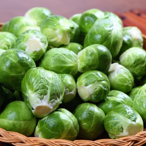 2 Brussel Sprouts Live Plants, Home Garden Vegetable, 4 Inch Pot - Image 6