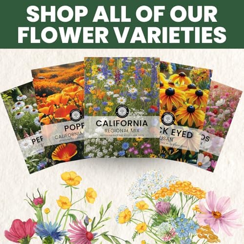 California Regional Mix – 19,000 Seeds for Planting – 2026 Season – 1 Ounce Pouch - Image 5