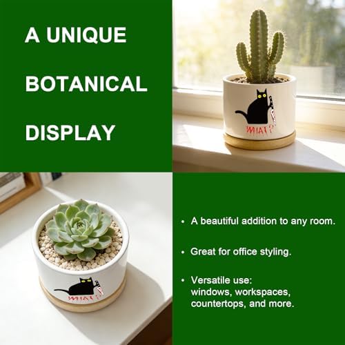 Funny Hello Black Cat Ceramic Plant Pot for Succulent, Cute Cat Cactus Flower Planter for Windowsill Indoor Decor, Home Office Decoration for Plant Lovers Friends Owner Lover (No Plants) (What) - Image 6