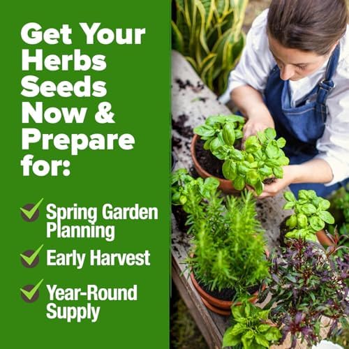 HOME GROWN 25 Herb Variety Pack 9,900+ Seeds Extra Large Culinary Kit - Image 6