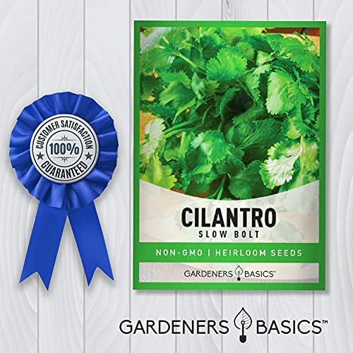 Gardeners Basics Cilantro Seeds for Planting Heirloom Non-GMO Herb Coriander Plant Seeds for Home Garden Vegetables Makes a Great Gift for Gardening - Image 5