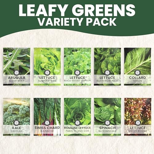 Leafy Greens Seeds | 10 Individual Packs | 2026 Season | Non-GMO | Lettuce, Kale, Spinach, Arugula & More! | for Planting Indoor & Outdoor | by Family Sown - Image 4