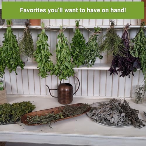 Sow Right Seeds - Perennial Herb Seed Collection for Planting Home Garden - Image 5