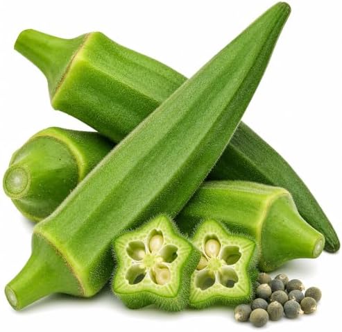 120 Clemson Spineless Okra Seeds for Planting - Heirloom, Non-GMO, USA Grown Seeds in Premium Waterproof Packaging - Lady's Finger, Gumbo, Bhindi by RDR Seeds by RDRSeeds