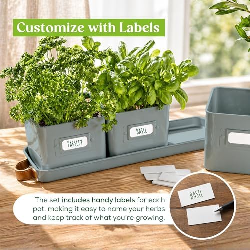 volila Herb Planter Indoor - Set of 3 Teal Blue Indoor Herb Garden Pots for Plants with Leather Handled Tray - Window Sill Plant Shelf - Herb Pots with Drainage Holes and Labels - Image 5