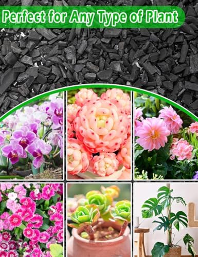 TOYPOPOR Horticultural Charcoal for Indoor Plants (3 Quarts) Hardwood Potting Soil Amendment Helps Improve Drainage for Orchids, Succulent, Cactus, Terrariums, and Gardening - Image 5
