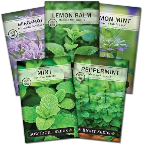 Sow Right Seeds - Mint Garden Seed Collection for Planting Herb Garden by SowRightSeeds