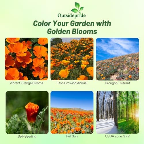 Outsidepride Eschscholzia Orange California Poppy Seeds - 1 lb. Annual, Native, Drought Tolerant Wildflower Seeds w/Vibrant Blooms for Full Sun & Drought-Tolerant Pollinator-Friendly Gardens - Image 3