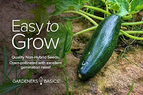 Gardeners Basics, Zucchini Seeds for Planting - Black Beauty Green Heirloom, Non-GMO Vegetable Summer Squash Variety- 3 Grams Seeds Great for Summer Garden - Image 3