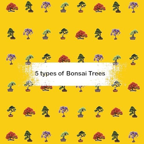 Bonsai Starter Kit - 5 Unique Tree Types, Special DIY Garden Hobby Kits - Great for Plant Lovers, for Kids, Men, Women, and Bonsai Enthusiasts - Image 6