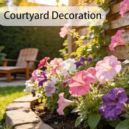 Petunia Seeds for Planting Outdoor, 10000 Heirloom Heritage Variety Seeds - Image 5