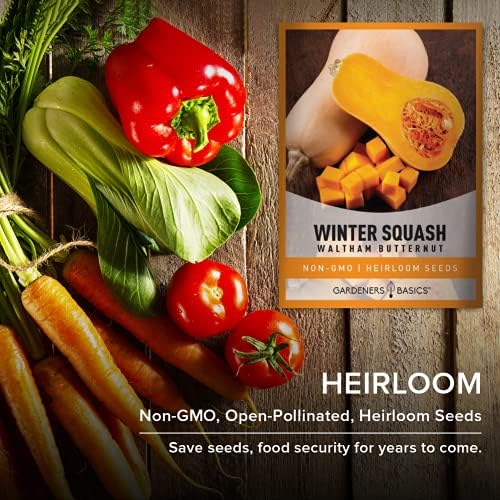 Gardeners Basics, Butternut Squash Seeds for Planting - Waltham Heirloom Non-GMO Winter Storage Vegetable Plant for Home Garden Vegetables Makes a Great Gift for Gardening - Image 5
