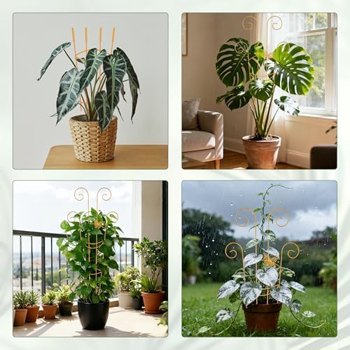 2 Pcs 30'' Monstera Plant Trellis for Pots, Metal Garden Trellis for Outdoor Plant Climbers, Expandable Houseplant Support with Butterfly Design for Monstera Ivy Hoya Vine, Gold - Image 7