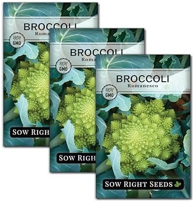 Sow Right Seeds - Romanesco Broccoli Seed for Planting Vegetable Garden 3pk by SowRightSeeds