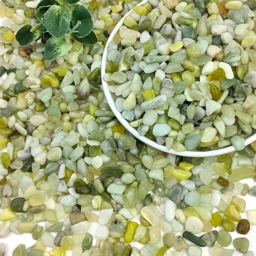 2LB Succulent Jade Pebbles for Indoor Plants, 3/8 Inch Natural Decorative Polished Stones, River Rocks for Landscaping,Vase, Flowerpot Decoration, Indoor Decoration and Garden Decoration by SHIZWU