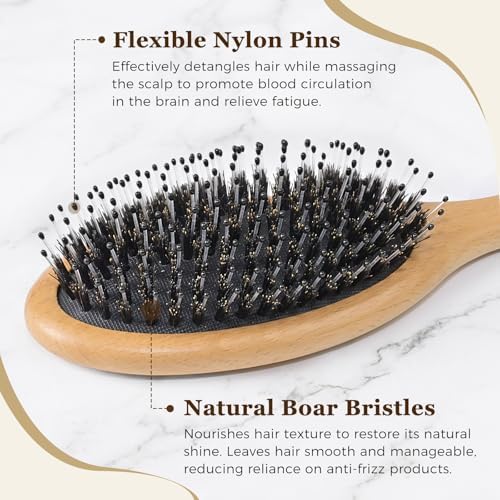 BLACK EGG Boar Bristle Brush for Wet/Dry Hair - Smoothing, Massaging, Detangling, Reduce Frizz, Restore Shine - Bamboo Brush for Women, Men, Kids - Image 2