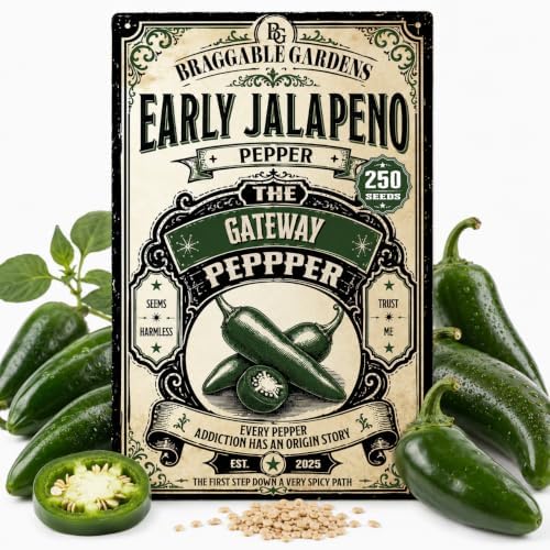 Early Jalapeño Pepper Seeds, Jalapeno Pepper Seeds for Planting, Full Sun Vegetable Garden Seeds, Thick-Walled Peppers with Mild to Moderate Heat for Salsa, Poppers, Pickling Cooking by BraggableGardens
