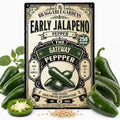 Early Jalapeño Pepper Seeds, Jalapeno Pepper Seeds for Planting, Full Sun Vegetable Garden Seeds, Thick-Walled Peppers with Mild to Moderate Heat for Salsa, Poppers, Pickling Cooking by BraggableGardens