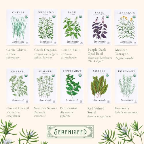 Sereniseed Certified Organic Herb Seeds 35-Pack, Culinary Garden Kit - Image 7